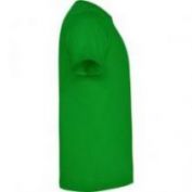 CAMISETA M/C ALGODON HOMBRE ROLY DOGO PREMIUM 6502 VERDE GRASS