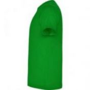 CAMISETA M/C ALGODON HOMBRE ROLY DOGO PREMIUM 6502 VERDE GRASS