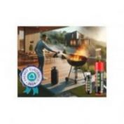 SPRAY EXTINTOR BIO CONTROL FIRE 200 ML / 500 ML