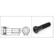 TORNILLO ALLEN C/C BAJA 8.8 7984 # 8X 12