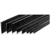 CEPILLO STRIP #B5 H25 + GUIA CEPILLO STRIP ALUM.#B5 L3000 MM.