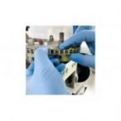 GUANTES DESECHABLES NITRILO 0,12 MM JUBA 570 AZUL CAJA 100 UND