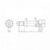 TORNILLO GUIA DIN 7379 12.9 #12