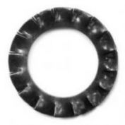 ARANDELA DENTADA A DIN 6798