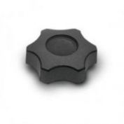 MANDO SCALLOP HEMBRA