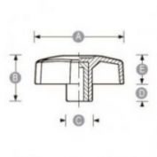 MANDO SCALLOP HEMBRA