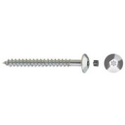 TORNILLO INVIOLABLE CELO TORX 6X50 ZN
