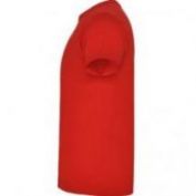 CAMISETA M/C HOMBRE ALGODON ROLY BRACO 6550 ROJO