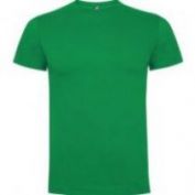 CAMISETA M/C ALGODON HOMBRE ROLY DOGO PREMIUM 6502 VERDE TROPICAL