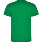 CAMISETA M/C ALGODON HOMBRE ROLY DOGO PREMIUM 6502 VERDE TROPICAL