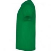 CAMISETA M/C ALGODON HOMBRE ROLY DOGO PREMIUM 6502 VERDE TROPICAL