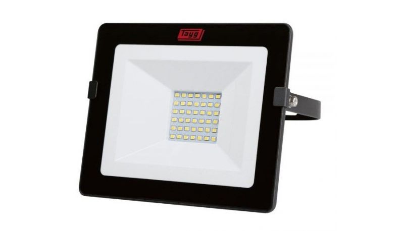 FOCO LED TAYG # 10 W.  800LM