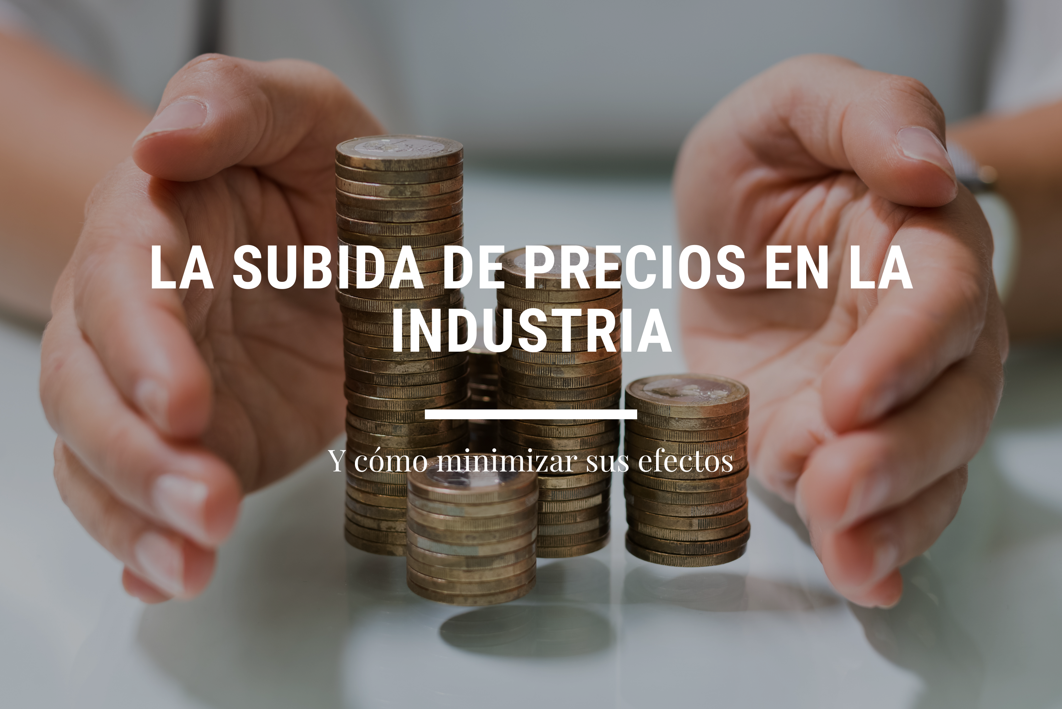 blog-la-subida-de-precios-en-la-industria-2.png