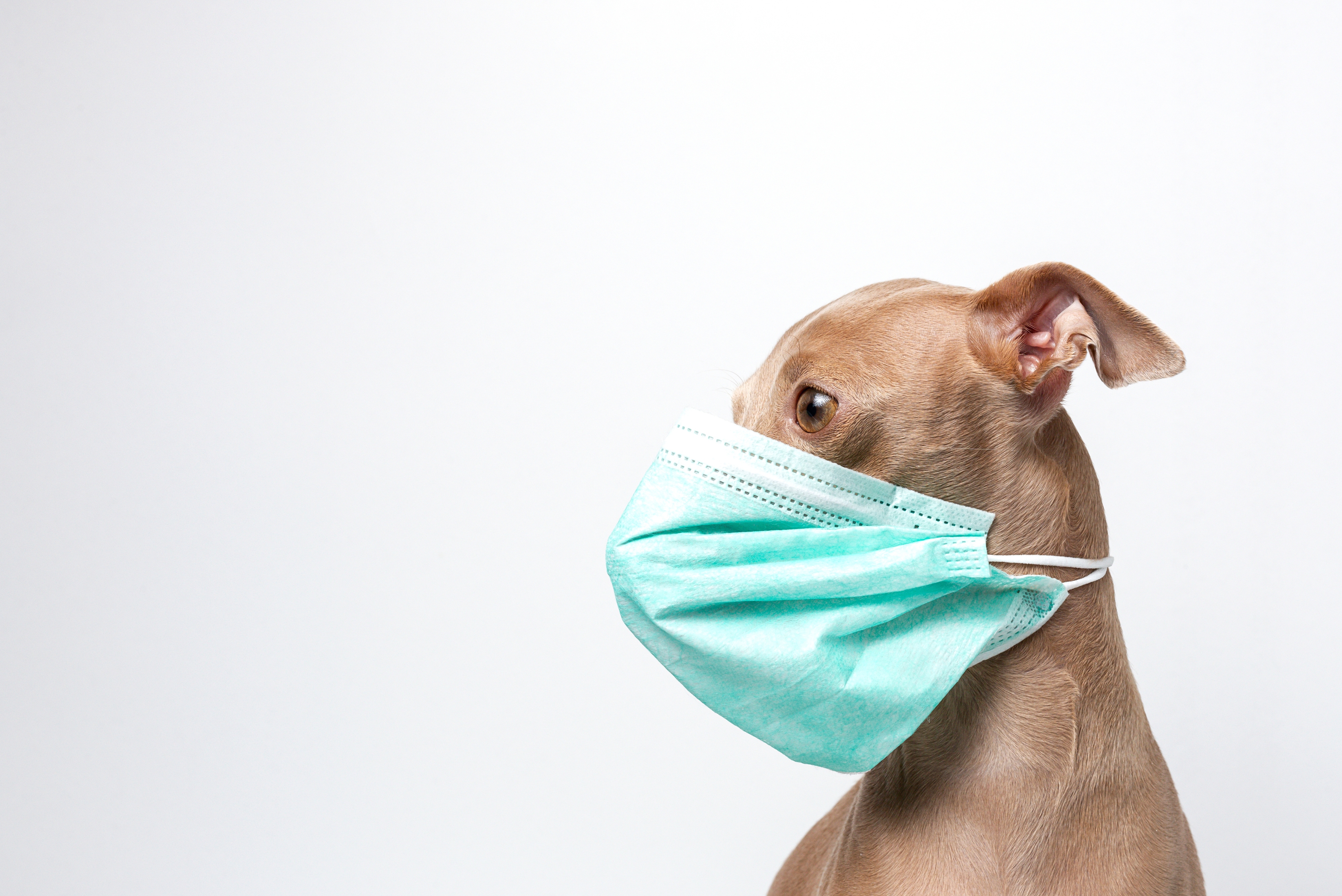 Protección de las vías respiratorias con los EPIs adecuados